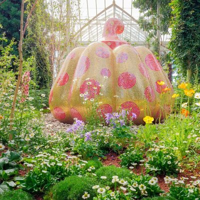 🌳 정산원 (조잔엔) 이미지 3